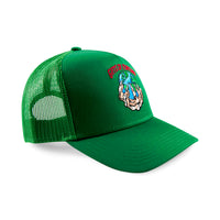 mesh trucker