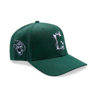 Barbed Wire Snapback Hat | Forest Green