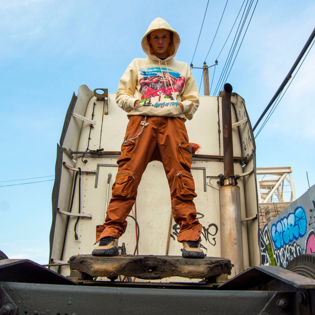 Anarchy Cargo Pants | Bronze