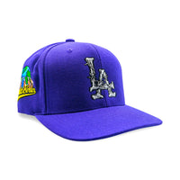 LA Barbed Wire Snapback Hat | Purple