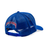 Iron Bird Trucker Hat | Royal Blue