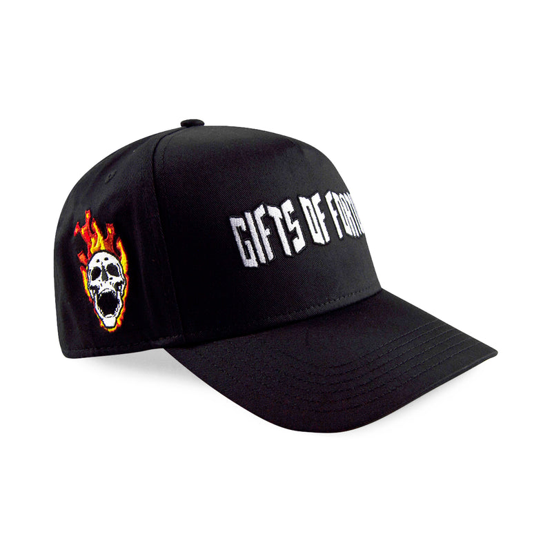 skull snapback