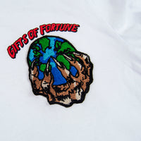 embroidery globe graphic tshirt